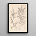 Herbier de la flore française Pl0149 - Louis Antoine Cusin — gerahmtes Bild an der Wand
