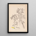 Herbier de la flore française Pl0163 - Louis Antoine Cusin — gerahmtes Bild an der Wand