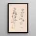 Herbier de la flore française Pl0217 - Louis Antoine Cusin — gerahmtes Bild an der Wand