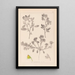 Herbier de la flore française Pl0218 - Louis Antoine Cusin — gerahmtes Bild an der Wand