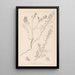 Herbier de la flore française Pl0225 - Louis Antoine Cusin — quadro incorniciato alla parete