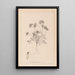Herbier de la flore française Pl0240 - Louis Antoine Cusin — gerahmtes Bild an der Wand