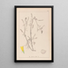 Herbier de la flore française Pl0305 - Louis Antoine Cusin — quadro incorniciato alla parete