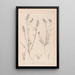 Herbier de la flore française Pl0315 - Louis Antoine Cusin — quadro incorniciato alla parete