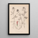Herbier de la flore française Pl0320 - Louis Antoine Cusin — quadro incorniciato alla parete