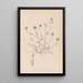 Herbier de la flore française Pl0327 - Louis Antoine Cusin — gerahmtes Bild an der Wand