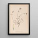 Herbier de la flore française Pl0328 - Louis Antoine Cusin — gerahmtes Bild an der Wand