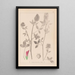 Herbier de la flore française Pl0347 - Louis Antoine Cusin — quadro incorniciato alla parete