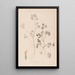 Herbier de la flore française Pl0348 - Louis Antoine Cusin — quadro incorniciato alla parete