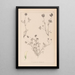 Herbier de la flore française Pl0357 - Louis Antoine Cusin — quadro incorniciato alla parete