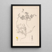 Herbier de la flore française Pl0378 - Louis Antoine Cusin — quadro incorniciato alla parete