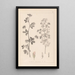 Herbier de la flore française Pl0381 - Louis Antoine Cusin — quadro incorniciato alla parete