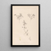 Herbier de la flore française Pl0401 - Louis Antoine Cusin — quadro incorniciato alla parete