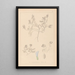 Herbier de la flore française Pl0409 - Louis Antoine Cusin — gerahmtes Bild an der Wand