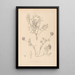 Herbier de la flore française Pl0432 - Louis Antoine Cusin — quadro incorniciato alla parete