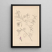 Herbier de la flore française Pl0435 - Louis Antoine Cusin — gerahmtes Bild an der Wand