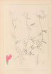 Herbier de la flore française Pl0448 - Louis Antoine Cusin — Ansicht des Kunstwerks