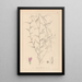 Herbier de la flore française Pl0453 - Louis Antoine Cusin — gerahmtes Bild an der Wand