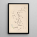 Herbier de la flore française Pl0479 - Louis Antoine Cusin — quadro incorniciato alla parete