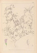 Herbier de la flore française Pl0484 - Louis Antoine Cusin — vista dell’opera