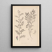 Herbier de la flore française Pl0490 - Louis Antoine Cusin — gerahmtes Bild an der Wand