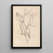 Herbier de la flore française Pl0508 - Louis Antoine Cusin — quadro incorniciato alla parete