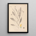 Herbier de la flore française Pl0529 - Louis Antoine Cusin — quadro incorniciato alla parete