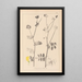 Herbier de la flore française Pl0533 - Louis Antoine Cusin — quadro incorniciato alla parete