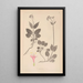 Herbier de la flore française Pl0687 - Louis Antoine Cusin — gerahmtes Bild an der Wand