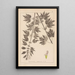 Herbier de la flore française Pl0833 - Louis Antoine Cusin — gerahmtes Bild an der Wand
