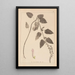 Herbier de la flore française Pl0880 - Louis Antoine Cusin — quadro incorniciato alla parete