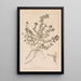 Herbier de la flore française Pl0903 - Louis Antoine Cusin — gerahmtes Bild an der Wand