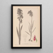 Herbier de la flore française Pl1010 - Louis Antoine Cusin — quadro incorniciato alla parete