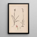 Herbier de la flore française Pl1012 - Louis Antoine Cusin — quadro incorniciato alla parete