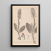 Herbier de la flore française Pl1017 - Louis Antoine Cusin — gerahmtes Bild an der Wand