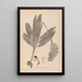 Herbier de la flore française Pl1032 - Louis Antoine Cusin — gerahmtes Bild an der Wand