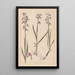 Herbier de la flore française Pl1034 - Louis Antoine Cusin — quadro incorniciato alla parete