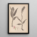 Herbier de la flore française Pl1044 - Louis Antoine Cusin — gerahmtes Bild an der Wand
