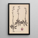 Herbier de la flore française Pl1049 - Louis Antoine Cusin — gerahmtes Bild an der Wand