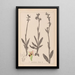 Herbier de la flore française Pl1050 - Louis Antoine Cusin — quadro incorniciato alla parete