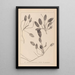 Herbier de la flore française Pl1071 - Louis Antoine Cusin — gerahmtes Bild an der Wand