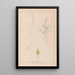 Herbier de la flore française Pl1097 - Louis Antoine Cusin — gerahmtes Bild an der Wand