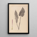 Herbier de la flore française Pl1108 - Louis Antoine Cusin — quadro incorniciato alla parete
