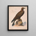 Golden Eagle - Louis Prang Co — framed artwork on a wall