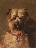 Kleines Liebling mit rotem Halsband - Louis Robert Heyrault — Ansicht des Kunstwerks