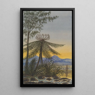 Lt Gen Charles Emilius Gold - View near Auckland EveningTrees and Ferns.webp