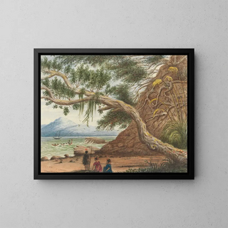 Lt Gen Charles Emilius Gold - View near Auckland Maori Warrior and Women.webp