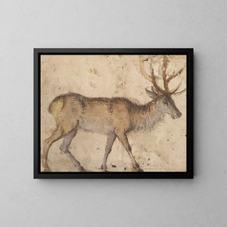 Lucas Cranach the Elder - Study of a Stag.webp