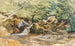 Studie von Strom und Gebüsch - Ludwig Correggio — Ansicht des Kunstwerks