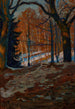 Parc Stryjski à Lviv - Ludwik Misky — vista dell’opera